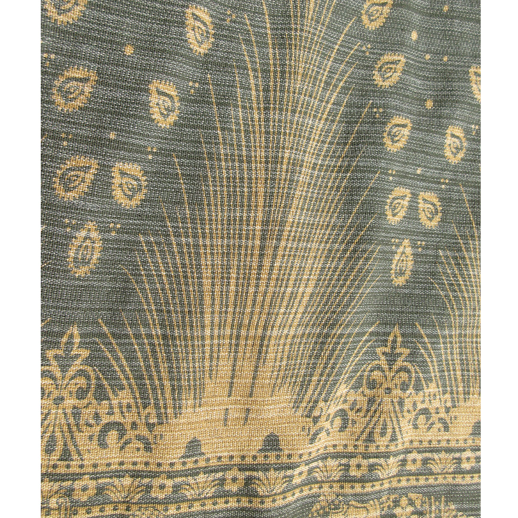 peacock-close-up-design4